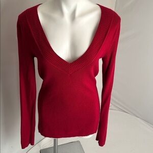 Express red wide band v-neck fitted sweater